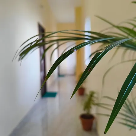 Eesha Inn - A Premium Home Stay Near Temple Rameshwaram Exterior photo