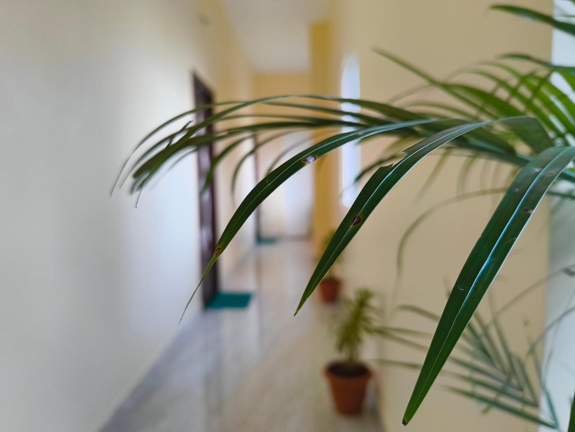 Eesha - A Premium Near Temple Homestay