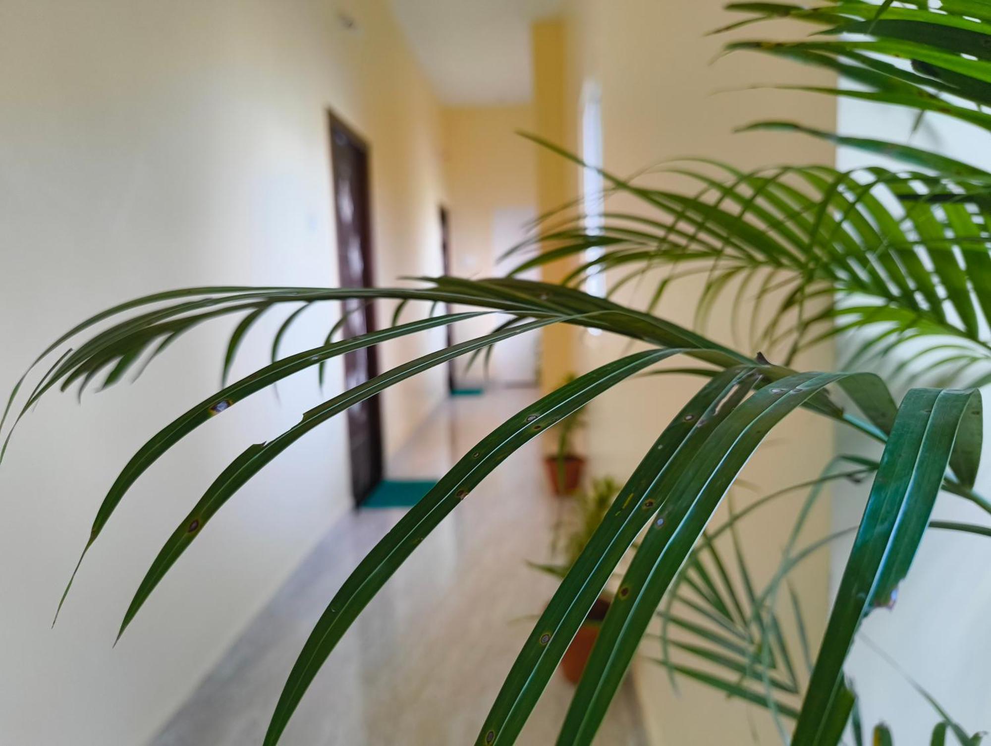 Eesha - A Premium Near Temple *